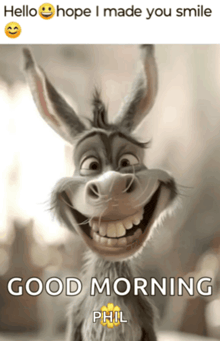 Meme de buenos días con un gato mono y un texto de saludo «good morning»