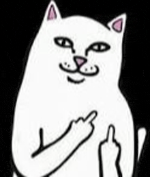 Meme del dedo medio de un gato de dibujos blanco sonriente levantando los dos dedos medios