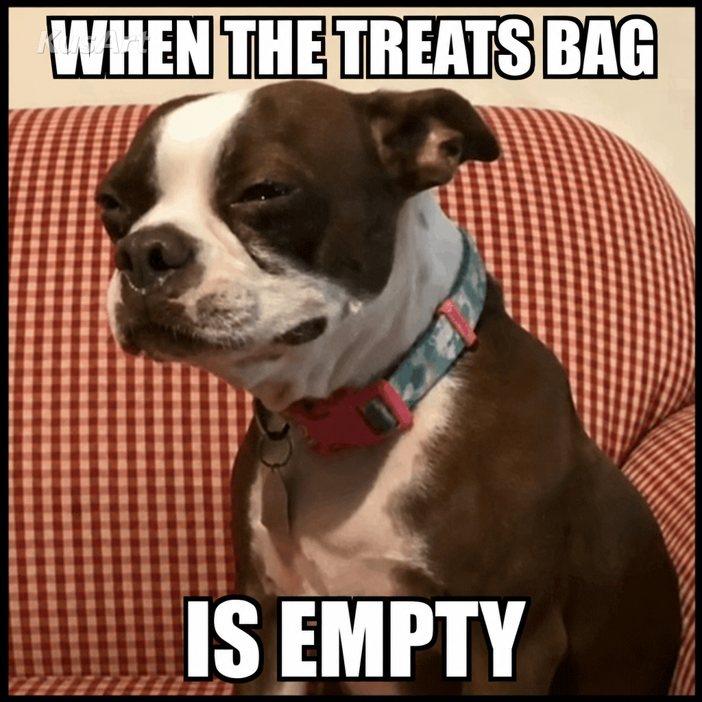 Meme del perro triste con texto «cuando la bolsa de premios / está vacía»