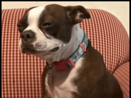 AI Generated Plantilla de meme del perro triste