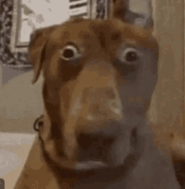 AI Generated Plantilla de meme del perro asustado