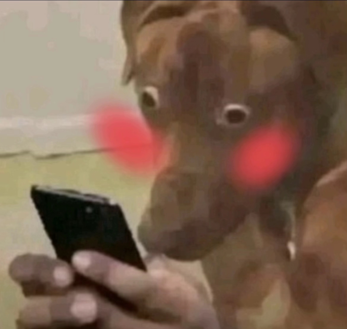 Perro nervioso con los ojos muy abiertos mirando un móvil