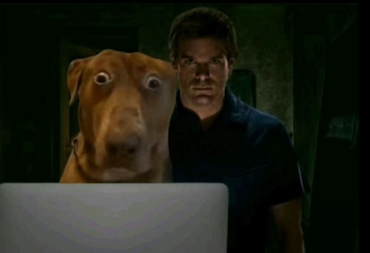 Perro asustado editado en una escena oscura mirando con ojos muy abiertos una pantalla