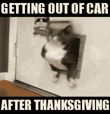 Mème de Thanksgiving d'un chat qui roule, légendé « getting out of the car after thanksgiving »