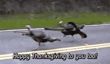 Mème de Thanksgiving de dindes sauvages légendé « Happy Thanksgiving to you too »